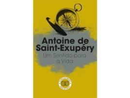 Livro Um Sentido para a Vida de Antoine de Saint-Exupéry (Português)