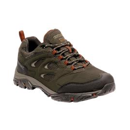 Regatta Tênis Caminhada Holcombe Iep Low EU 46 Bayleaf / Burnt Umber